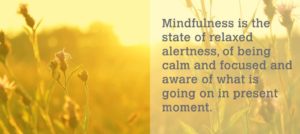 Mindfulness is the state of relaxed alertness, of being calm and focused and aware of what is going on in present moment.
